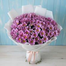 Букет цветов из:  Хризантемы #REPLACE_PRED# Соболево