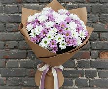 Букет цветов из:  Хризантемы #REPLACE_PRED# Соболево