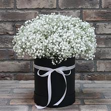 Цветочная композиция из Гипсофила в шляпной коробке в Соболево