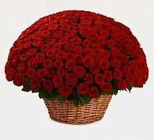 Премиум букет из: Розы в Соболево